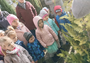 Dzieci obserwują sadzenie drzewa